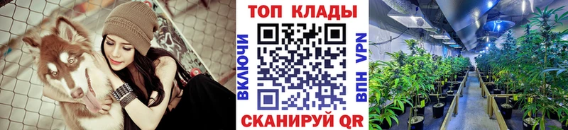 Все наркотики Сковородино Псилоцибиновые грибы  КОКАИН  ГАШИШ  А ПВП  Мефедрон  Марихуана 
