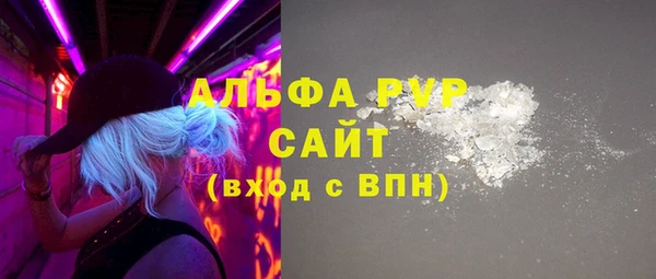 эйфоретик Инсар