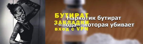гидра Инта