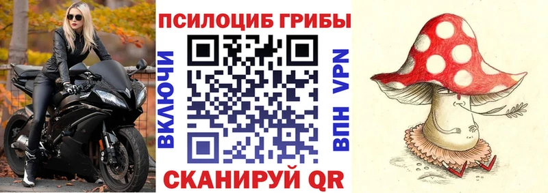 Галлюциногенные грибы ЛСД  купить   Сковородино 
